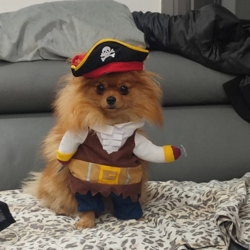 Dog Pirate Costume