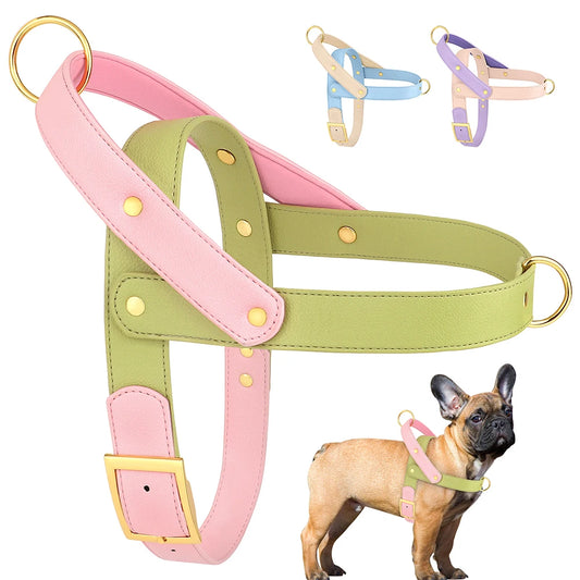 Leather Dog Harness