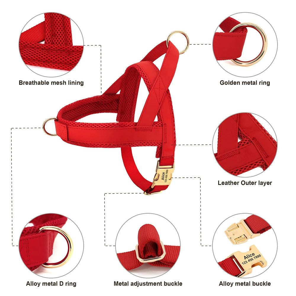 Personalized No Pull Dog Harness