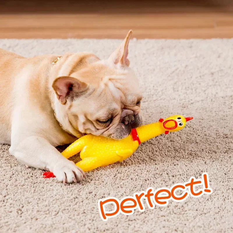 Dog Toys Screaming Chicken Squeeze Sound