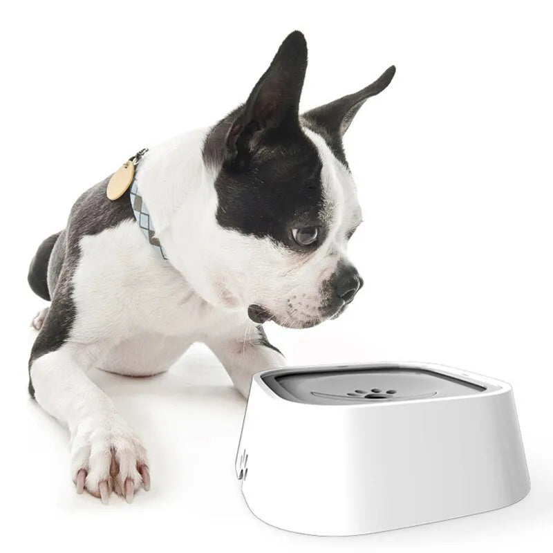 Dog Water Bowls