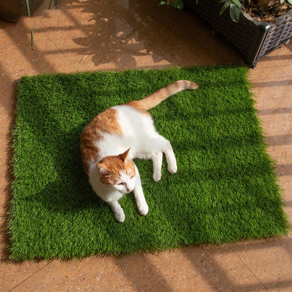 Dog Artificial Grass