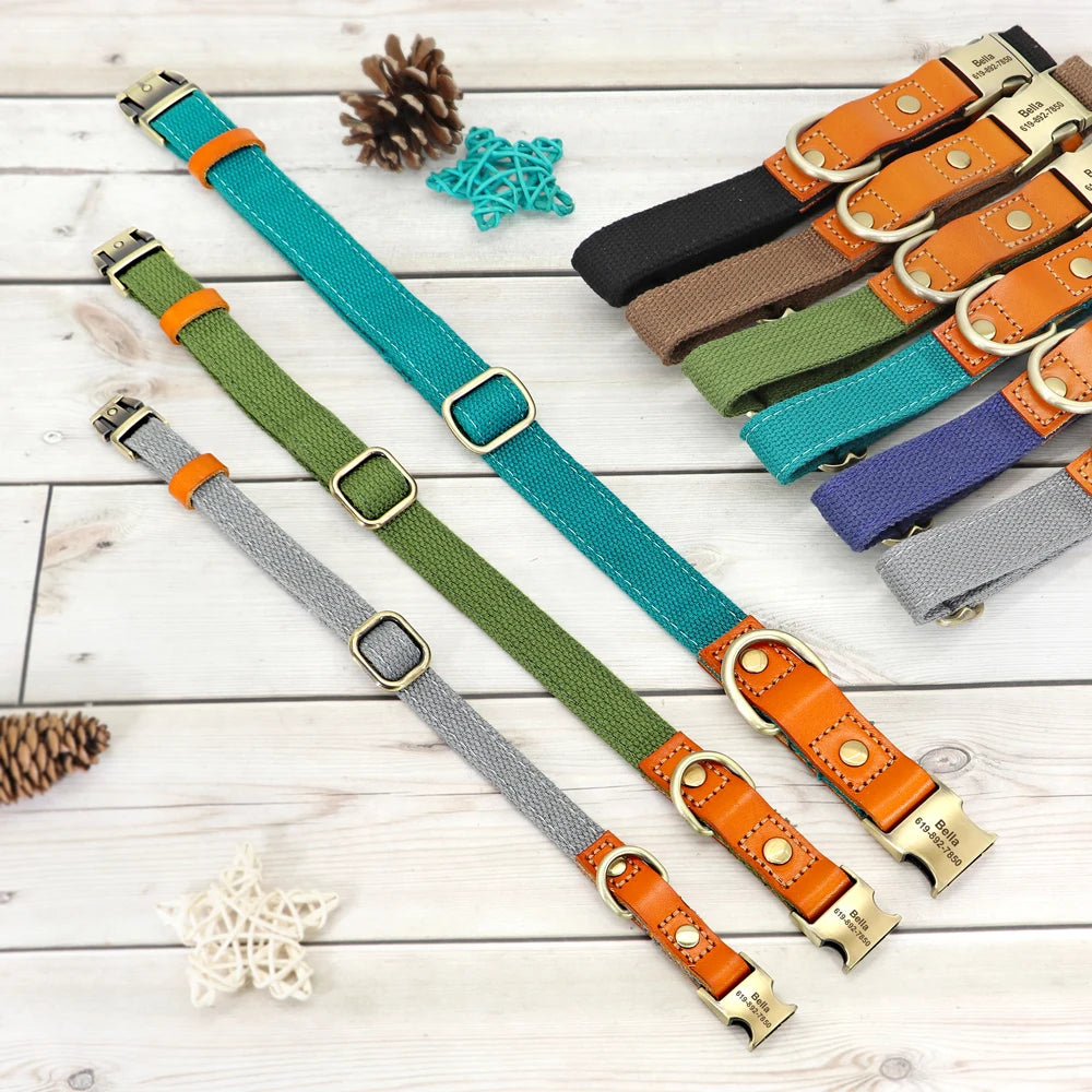Personalized Adjustable Dog Collars
