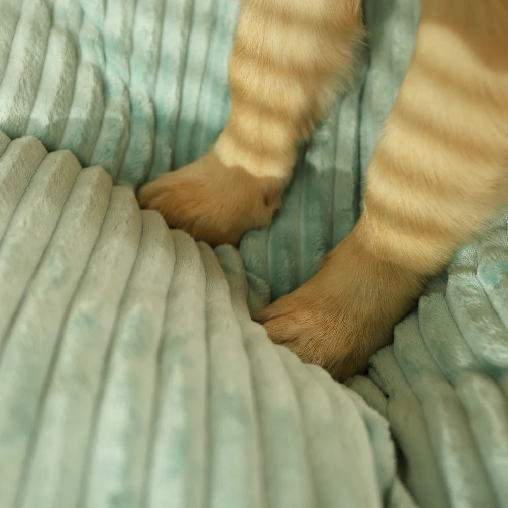 Large Dog Bed