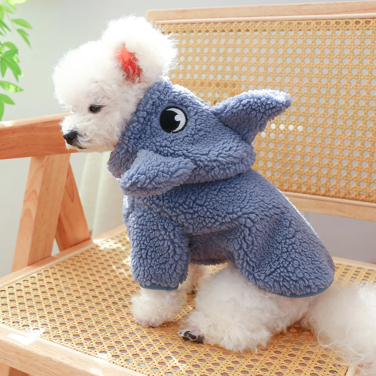 Shark Dog Costume