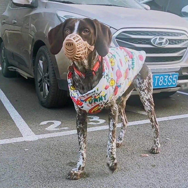 Dog Jacket Waterproof