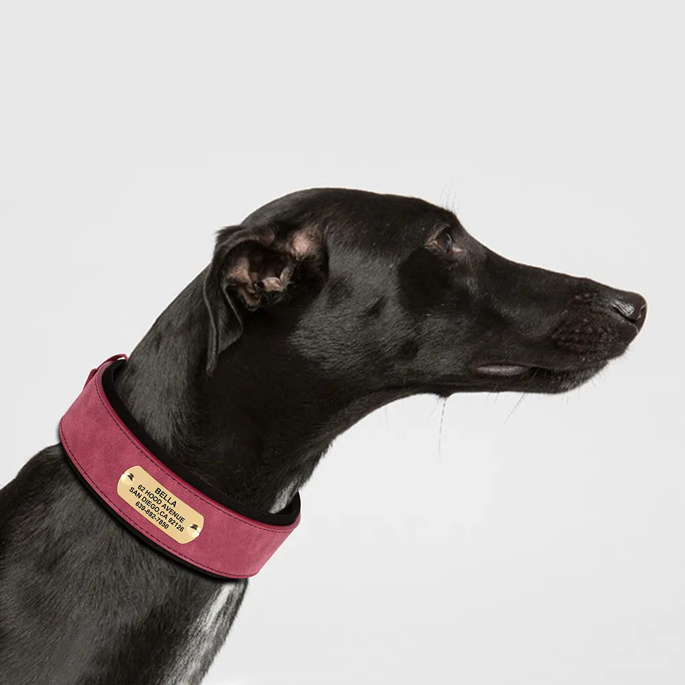 Personalized Dog Collar