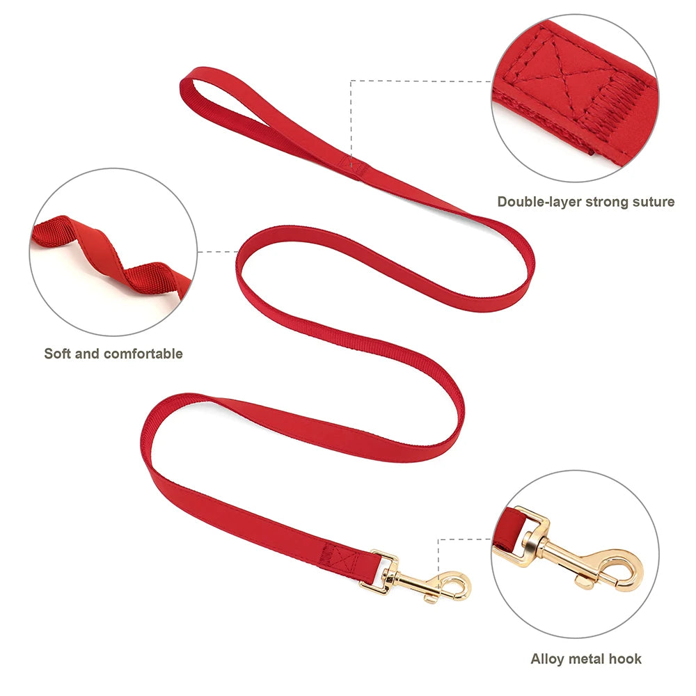 Personalized No Pull Dog Harness