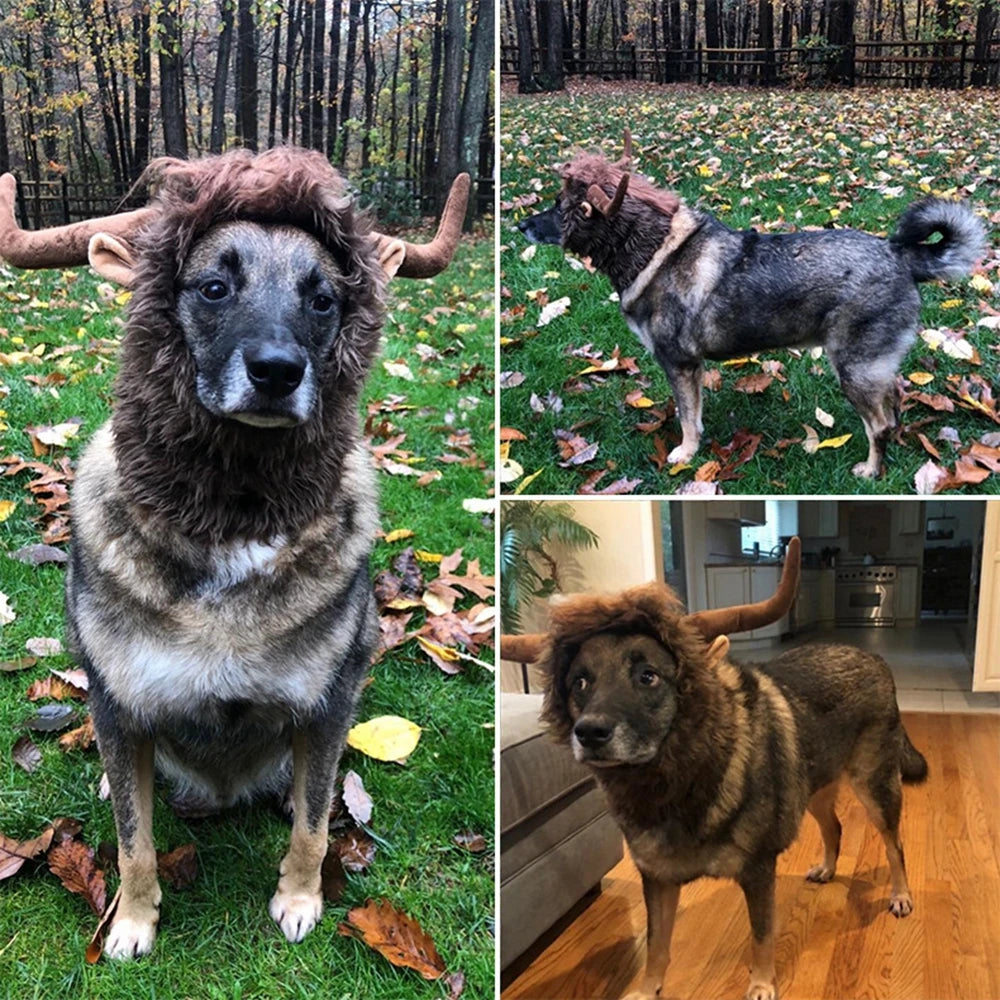 Cow Horns For Dogs Costume