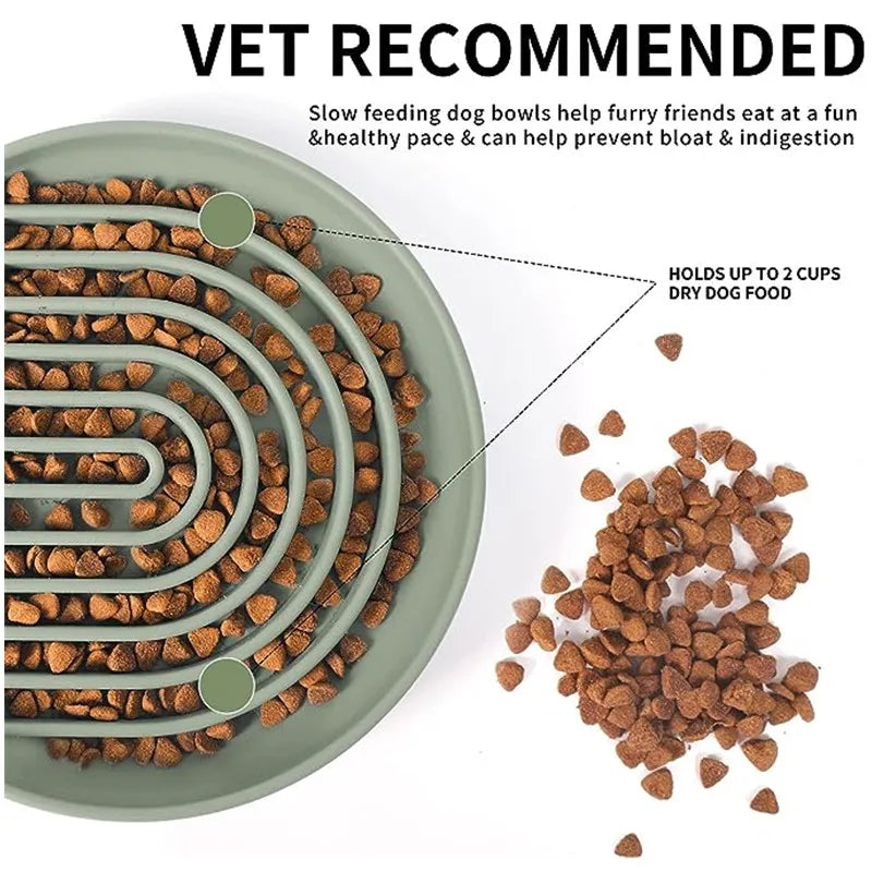 Slow Feeder For Dog