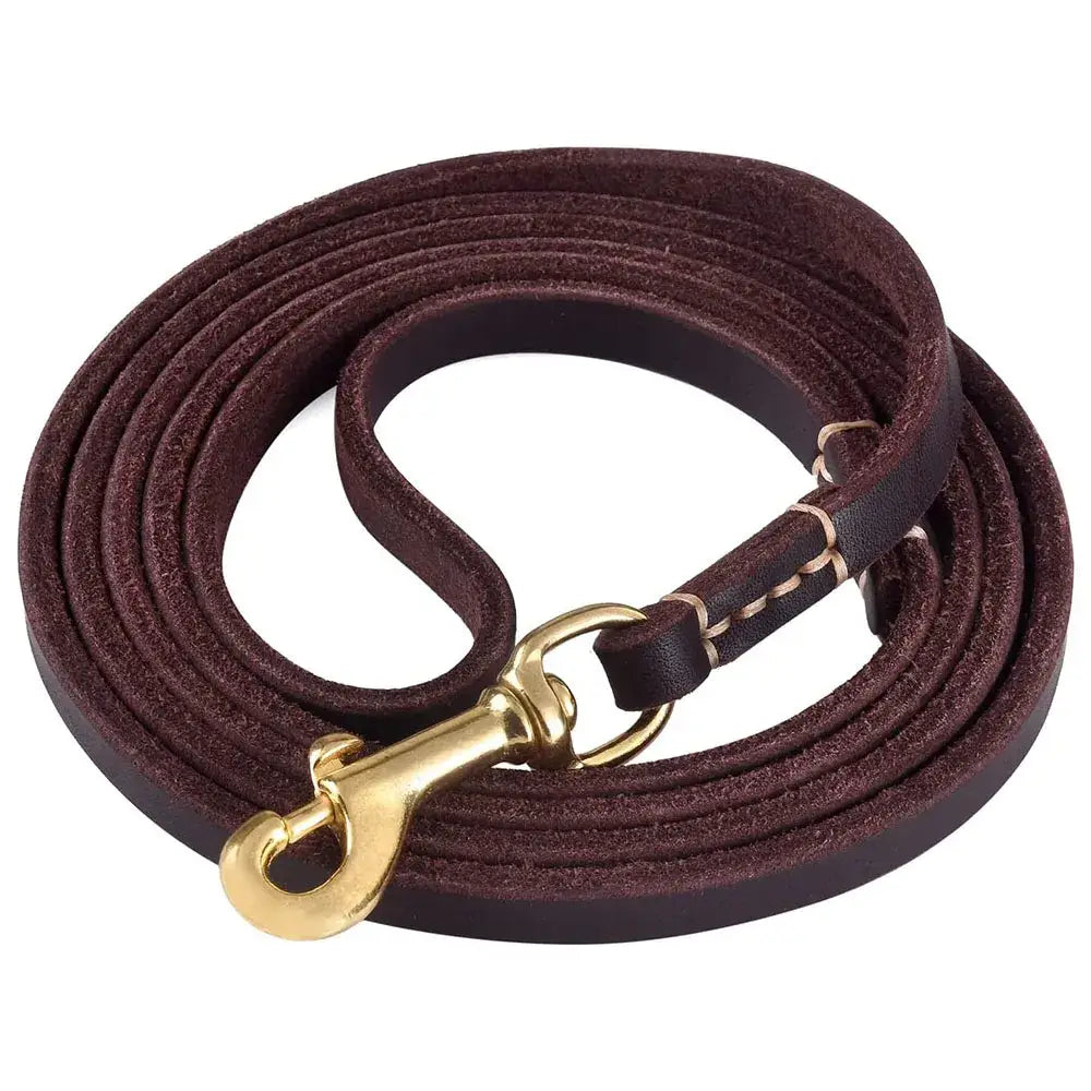 Leather Dog Leash