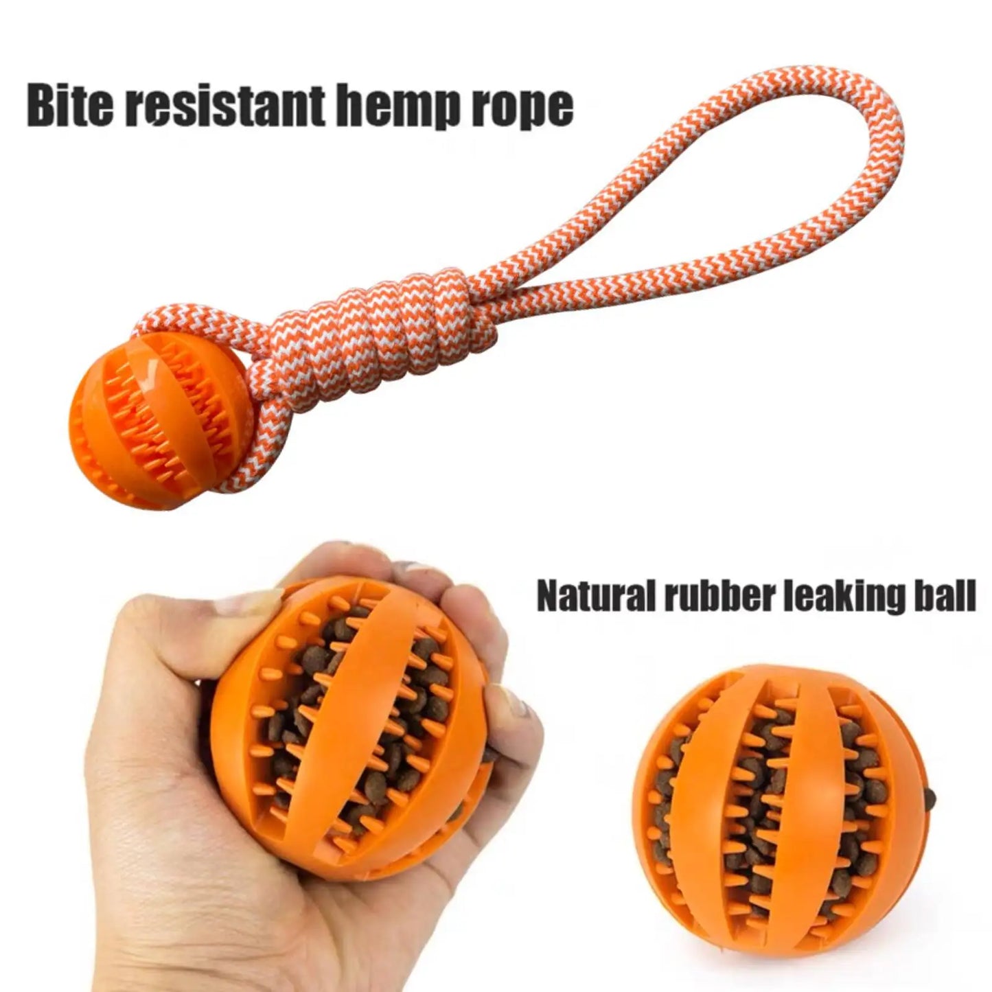 Dog Leaking Food Ball