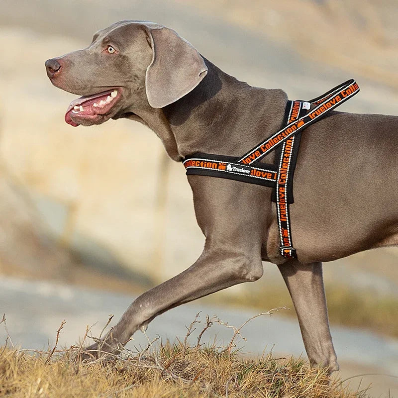 No Pull Padded Dog Harness