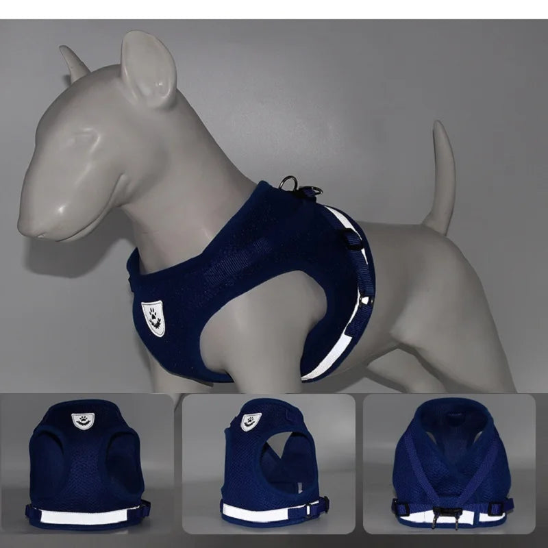 Blue Dog Harness