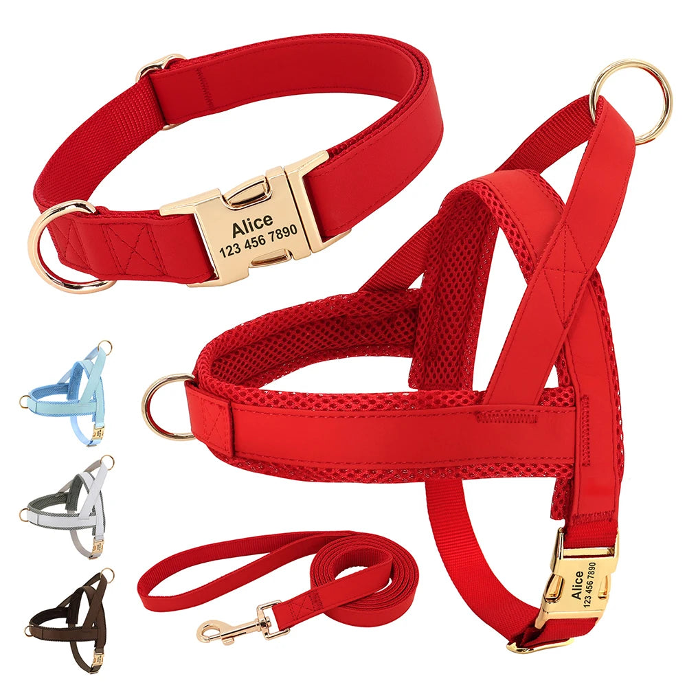 Personalized No Pull Dog Harness