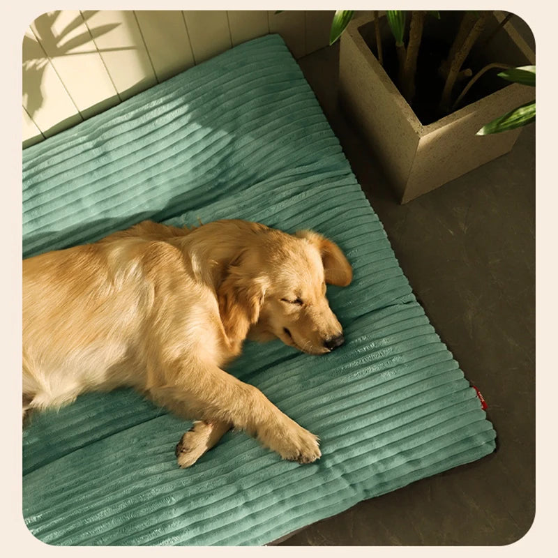 Large Dog Bed
