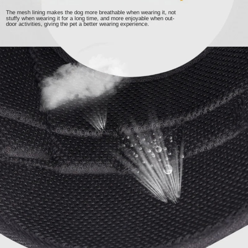 Personalized Dog Harness