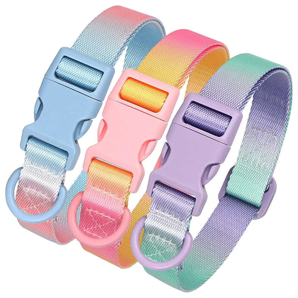 Cute Dog Collar