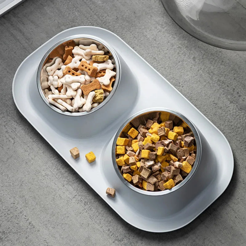 Dog Food And Water Bowls