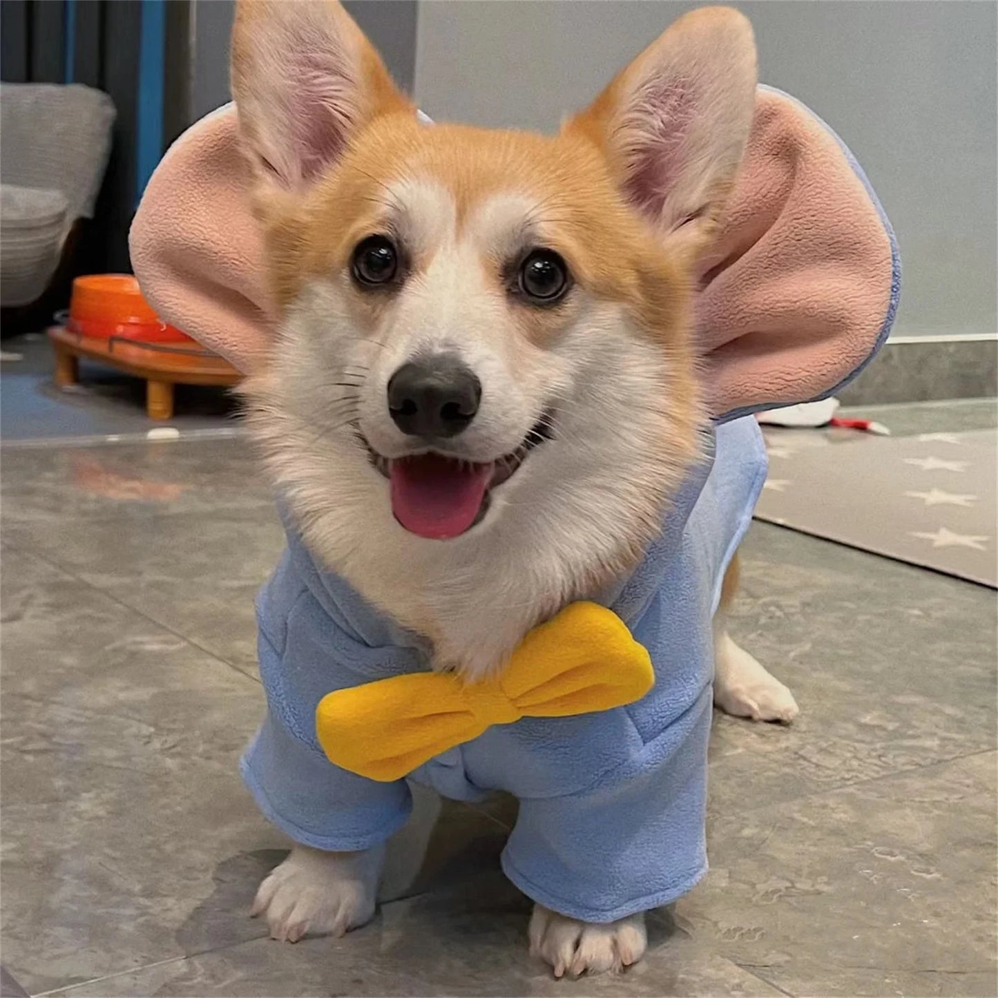Dog Elephant Costume