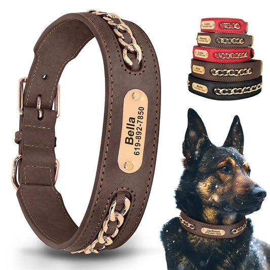 Customized Dog Collar