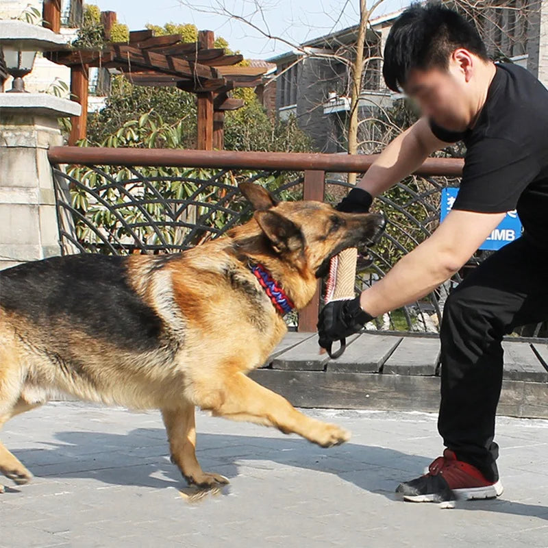 Dog Tug Toy