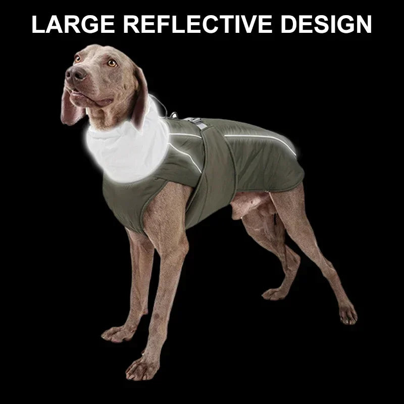 Waterproof Dog Jacket