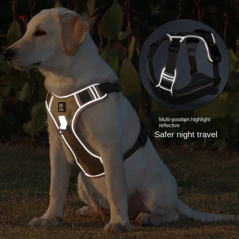 Dog Training Harness