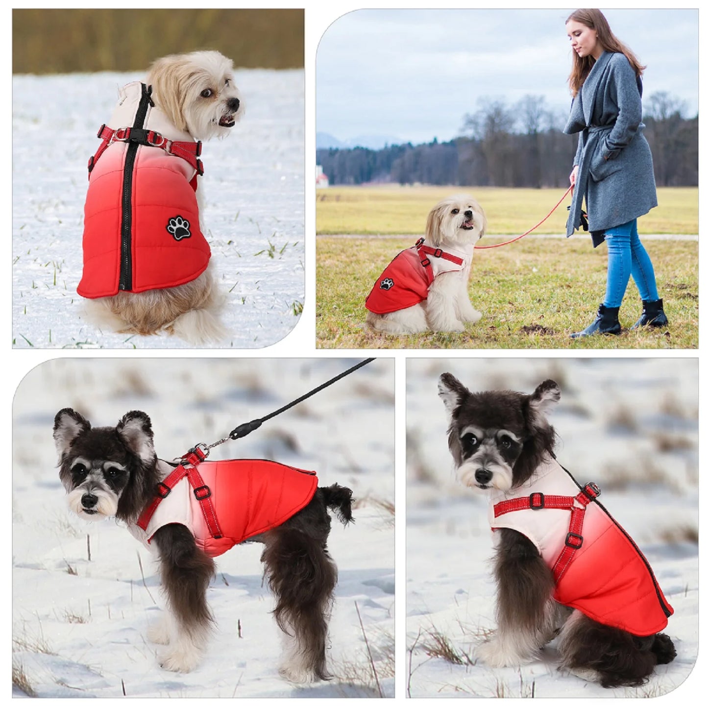 Waterproof Dog Jacket With Harness