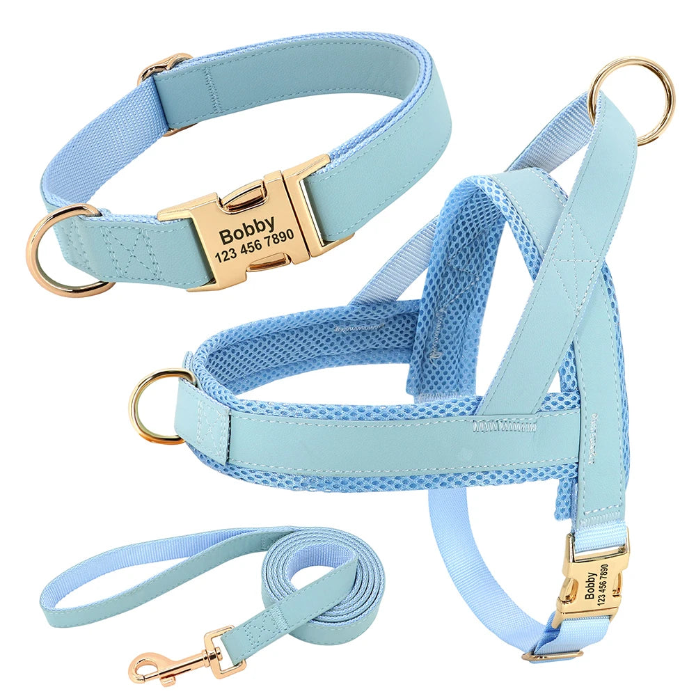 Personalized No Pull Dog Harness