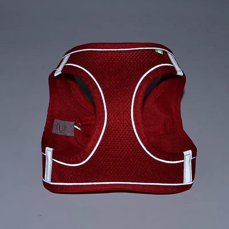 Comfort Harness For Small Dogs