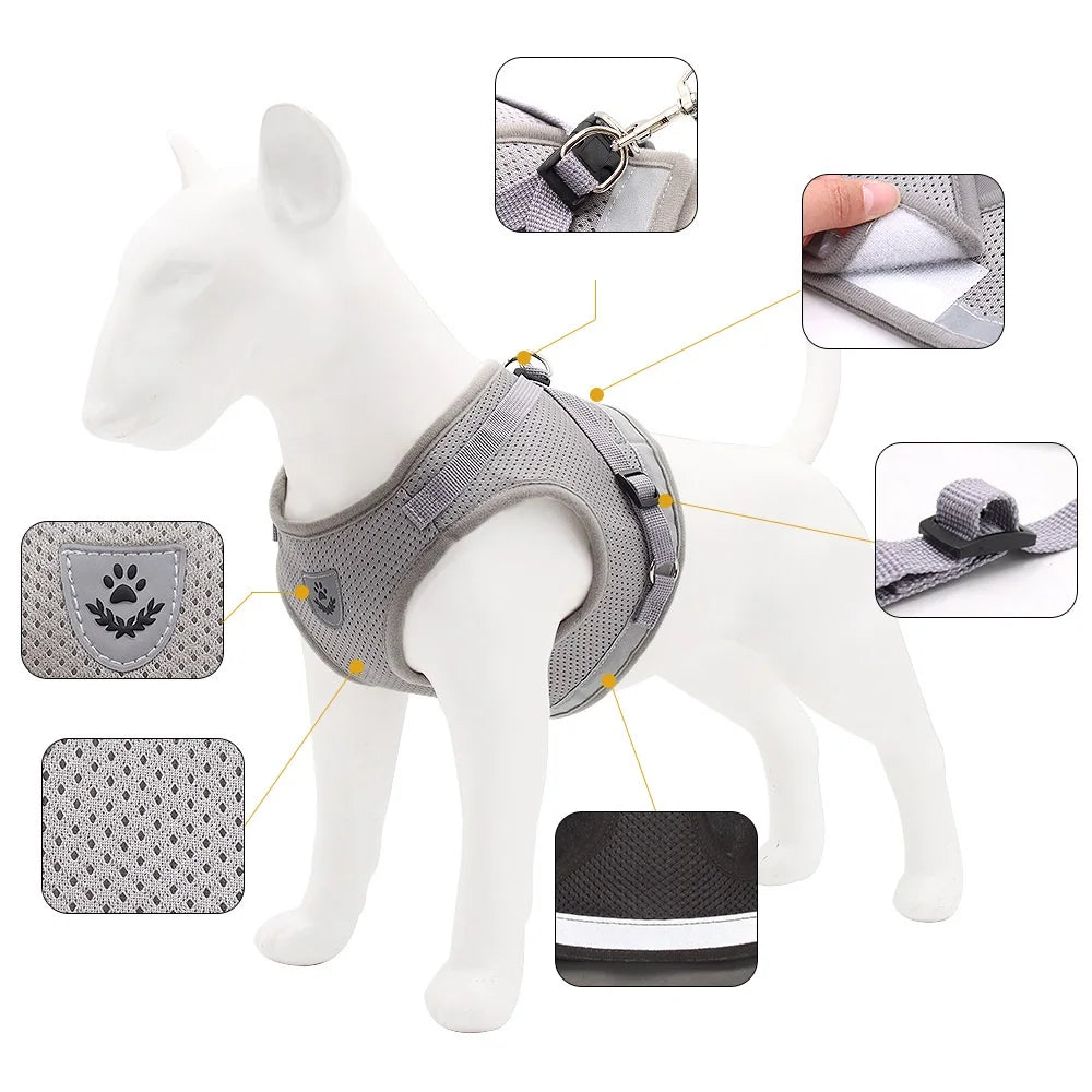 Blue Dog Harness