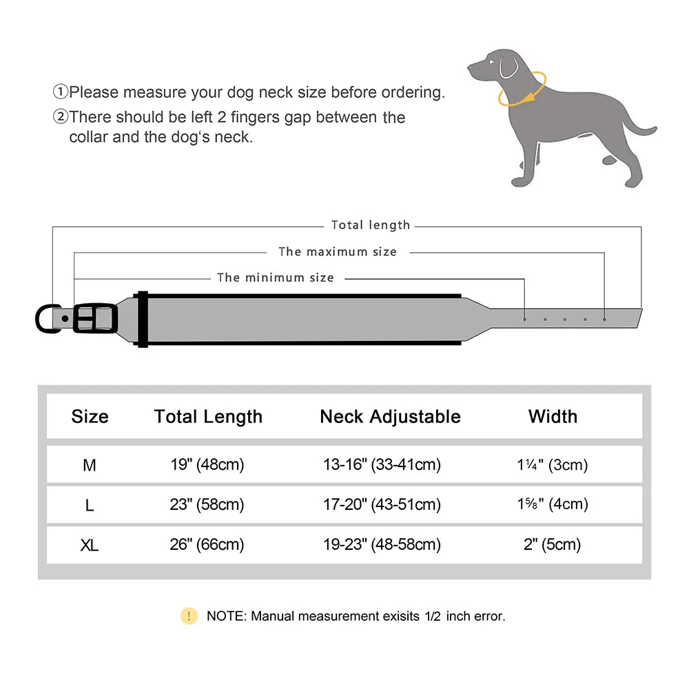 Personalized Dog Collar With Name