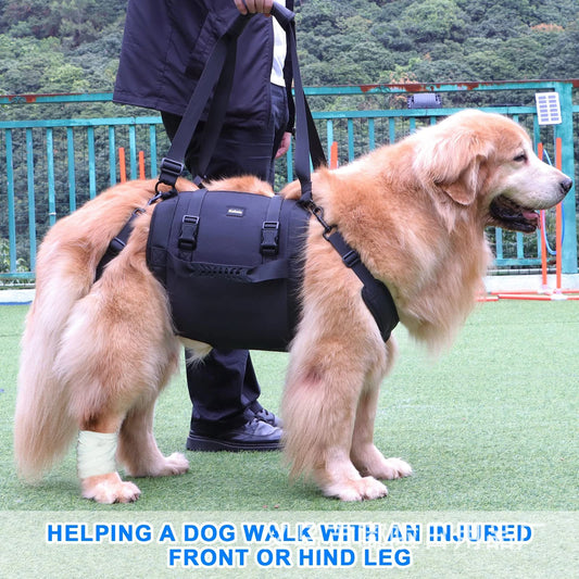 Dog Sling For Back Legs