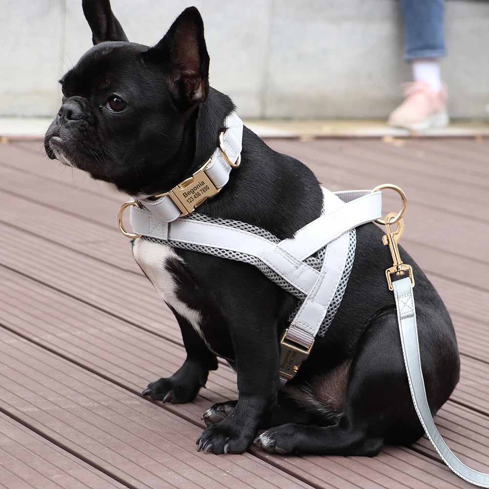 Personalized No Pull Dog Harness