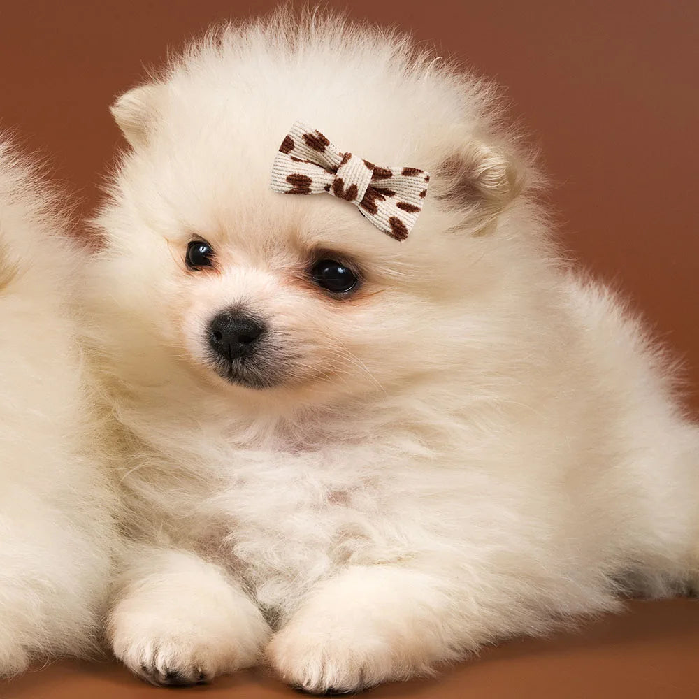 Dog Hair Bows
