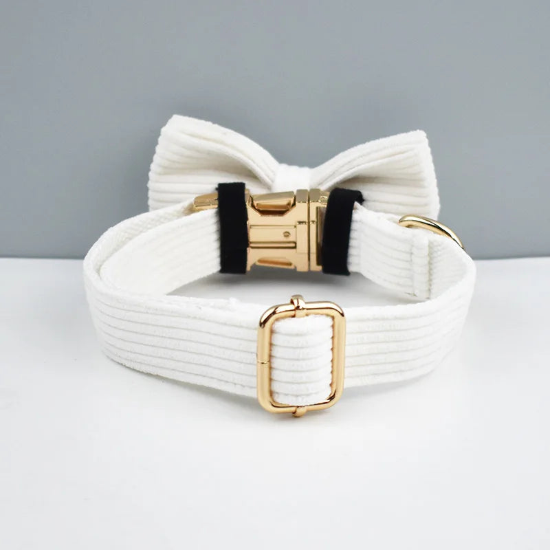 White Dog Harness