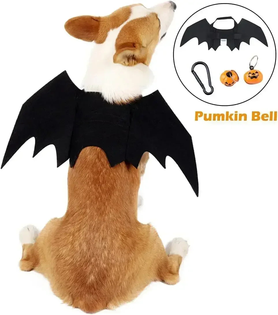 Bat Wings Dog costume