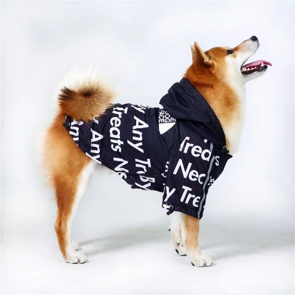 Black Dog Raincoat
