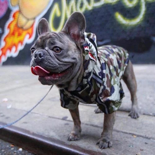 Camo dog outlet raincoat