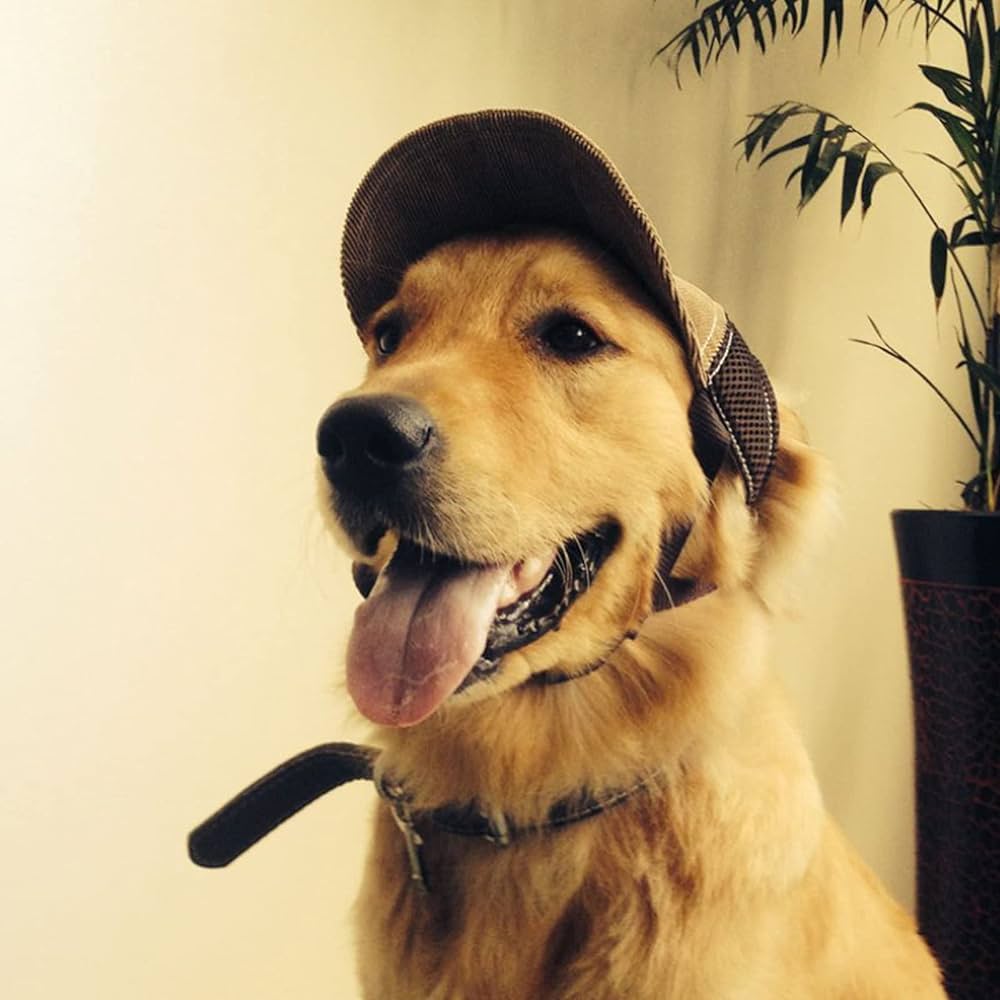 Golden shops retriever baseball caps