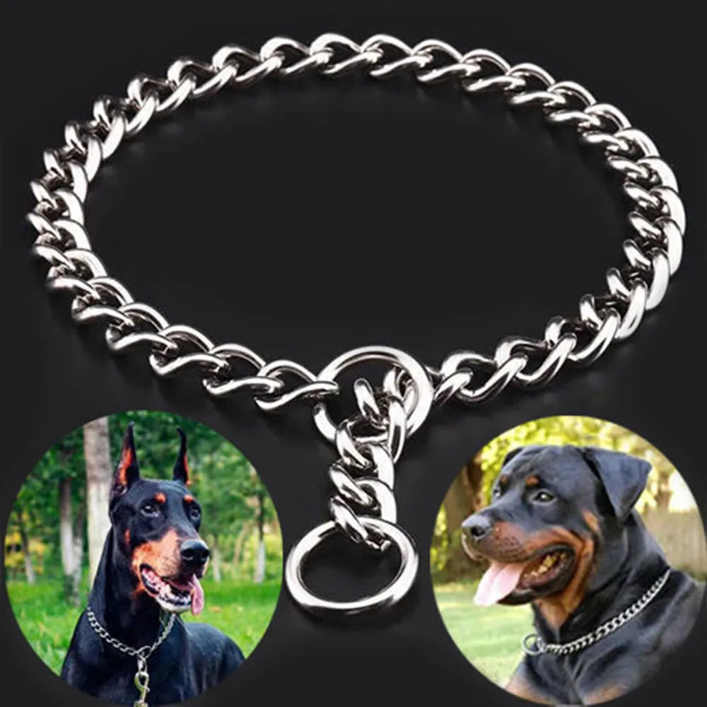 Rottweiler dog chain collar hot sale