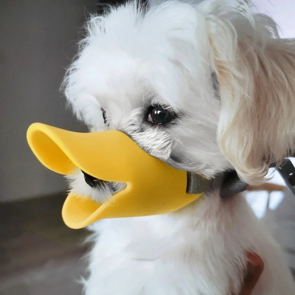 Quack dog discount muzzle