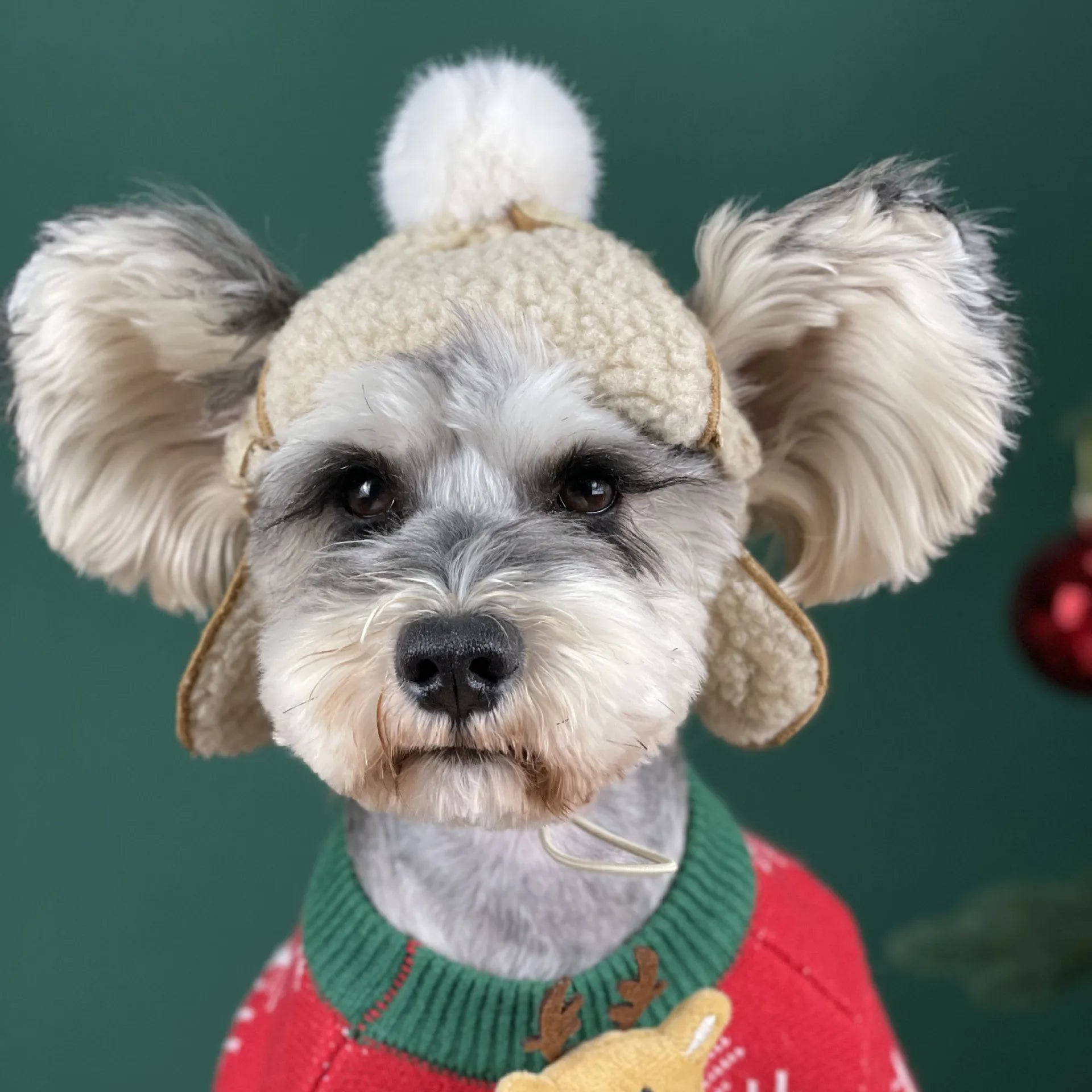 Dog Fur Trapper Hat