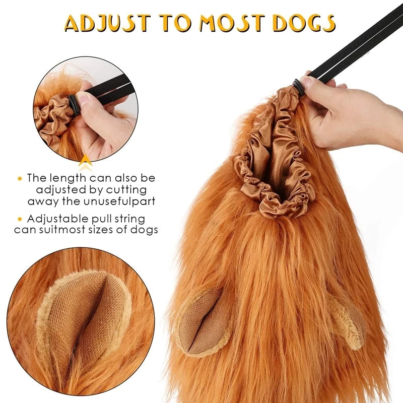Dog Lion Costume