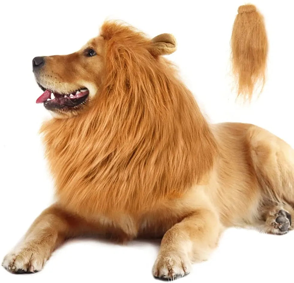 Dog Lion Costume