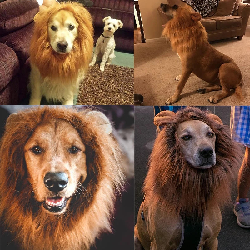 Dog Lion Costume