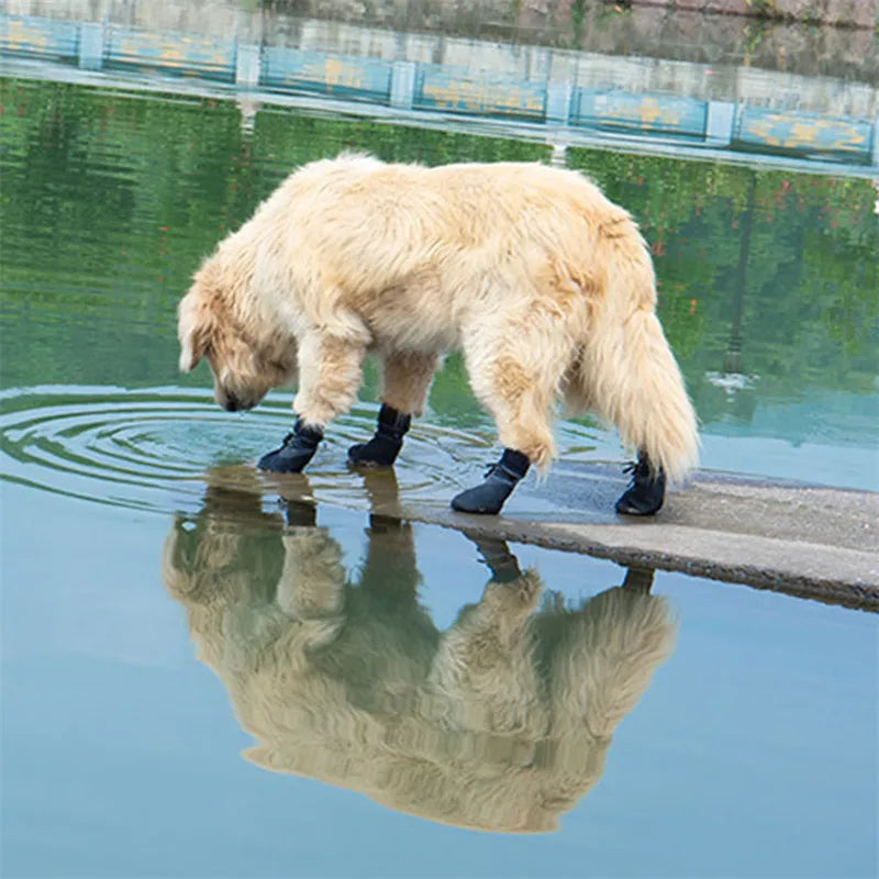 Dog Paw Shoes