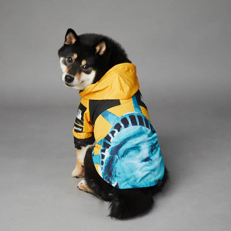 Dog Raincoat|Liberty