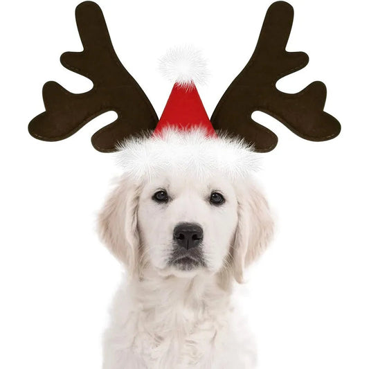 Dog Reindeer Hat
